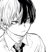todoroki shoto