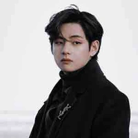 Kim Taehyung(V)