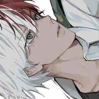 Todoroki Shoto 