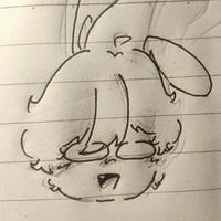 Kyn
