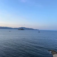 tác giả