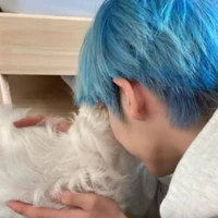 Hội Trưởng Hội HS