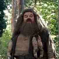 Hagrid