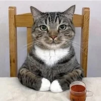 tác giả bị bố đời