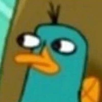 Thú mỏ vịt (Kijay)