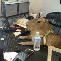 Capybara (Kisa)