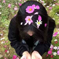 Châu Anh