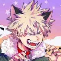 Bakugo ( chos mặt thộn)