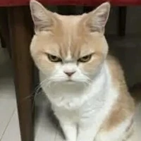 Hệ Thống001-Nichia