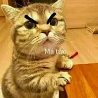 Tác giả[bị trầm cảm]