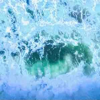 All//trừ ai thì trừ