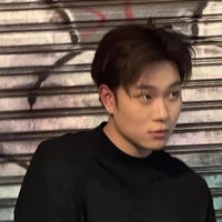 Dươngg domic