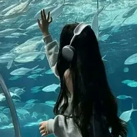 Kat thik đồ ngọt