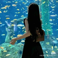 tác giả fan yu 🌸🌸🌸