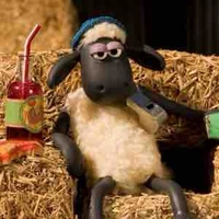 Mọi Người✨🐑