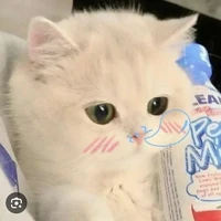 Tác Giả nè