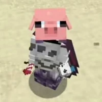 DonMC(khổ nhất thế giới)