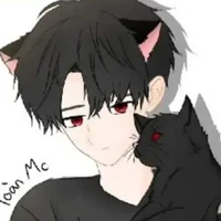 toàn mc