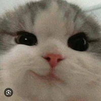 Kitty Bay Tới Đêyy💗