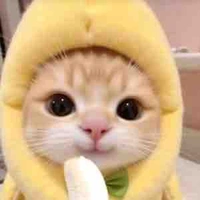 Yến Yến <bạn của DK>