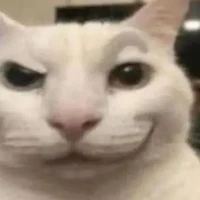 hệ thống đẹp zai