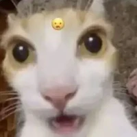 Mew Asto (t/g)