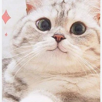 chuyện j khó cs t/g phờ lo❤