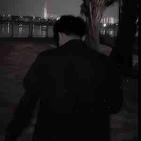 T/Giả