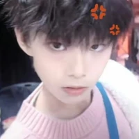 Trần Tư Hãn(Cậu_Em trai Hằng)