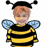 Nguyễn Thái Sơn (mèo)