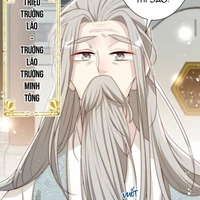 Triệu Trưởng Lão