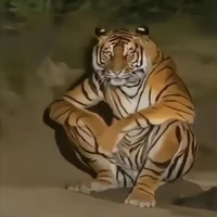 T/g ngồi đây từ chiều