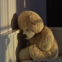 Teddy