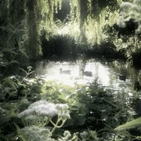 Những Người Có Mặt.