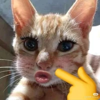 Biết đẹp òi! khỏi chê -)