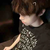 Việt Anh