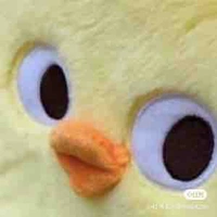 Hệ thống 1204 | Chíp