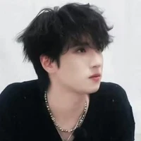 Nghiêm Hạo Tường