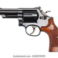 Gun