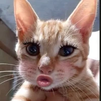 nhỏ giá nhả