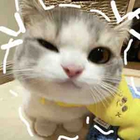 Cải
