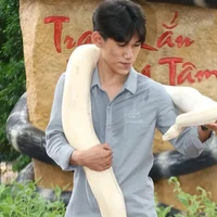 Việt Trungg