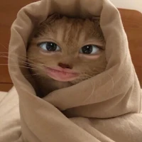 tg bị khùngg