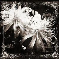 - 𝐘/𝐍(𝐨𝐜 đ𝐨̣𝐜 𝐠𝐢𝐚̉)-