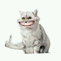 cái lớp