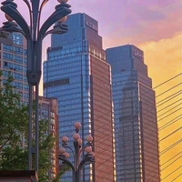 t/g là con dâu bố Lý