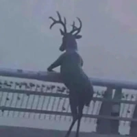 Cân mọi vai diễn