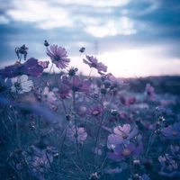 All ( trừ ai thì trừ)