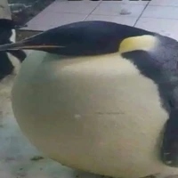 t/g