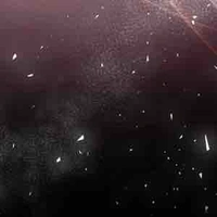 Nhân viên/phục vụ